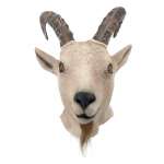 baphomet goat mask